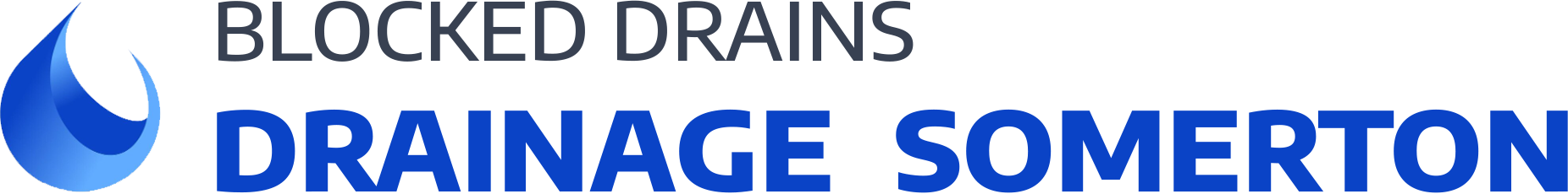 website logo